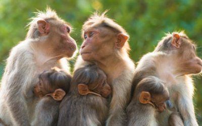 Conflict Avoidance Wastes Time and Money